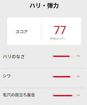 資生堂 肌診断 肌測定